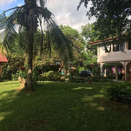 Casa Ballena Eco Hostel Uvita Esterno foto