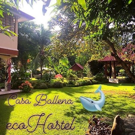 Casa Ballena Eco Hostel Uvita Esterno foto