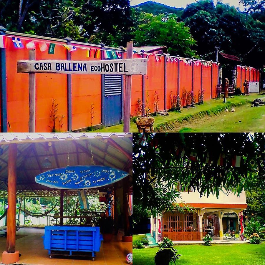 Casa Ballena Eco Hostel Uvita Esterno foto