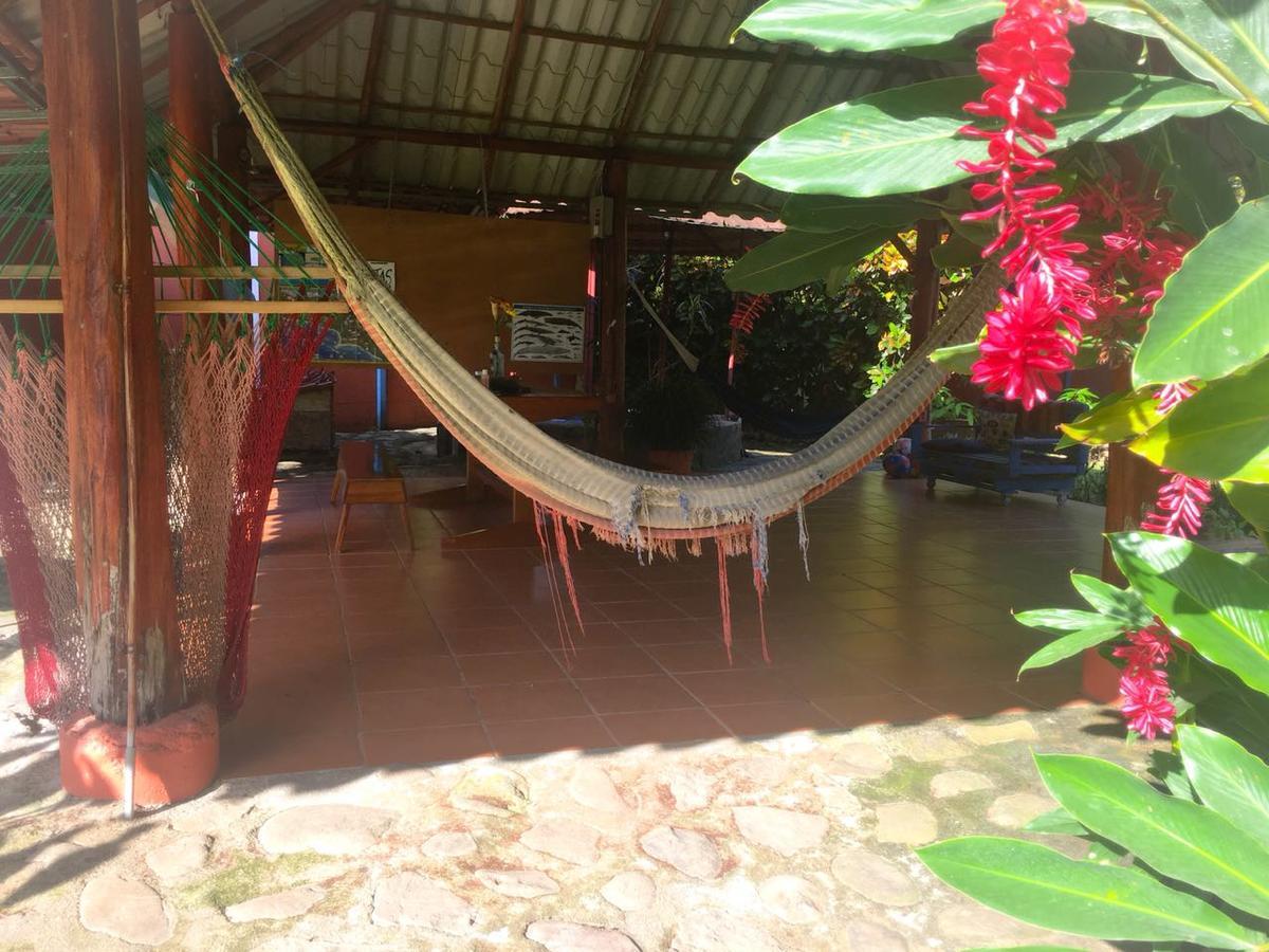 Casa Ballena Eco Hostel Uvita Esterno foto