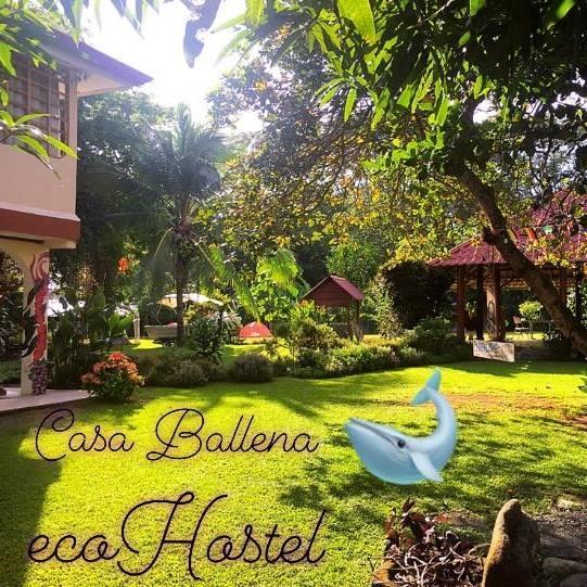 Casa Ballena Eco Hostel Uvita Esterno foto