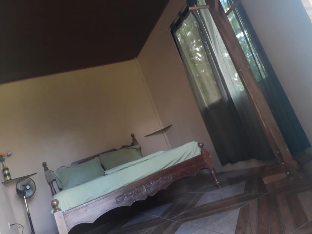 Casa Ballena Eco Hostel Uvita Esterno foto